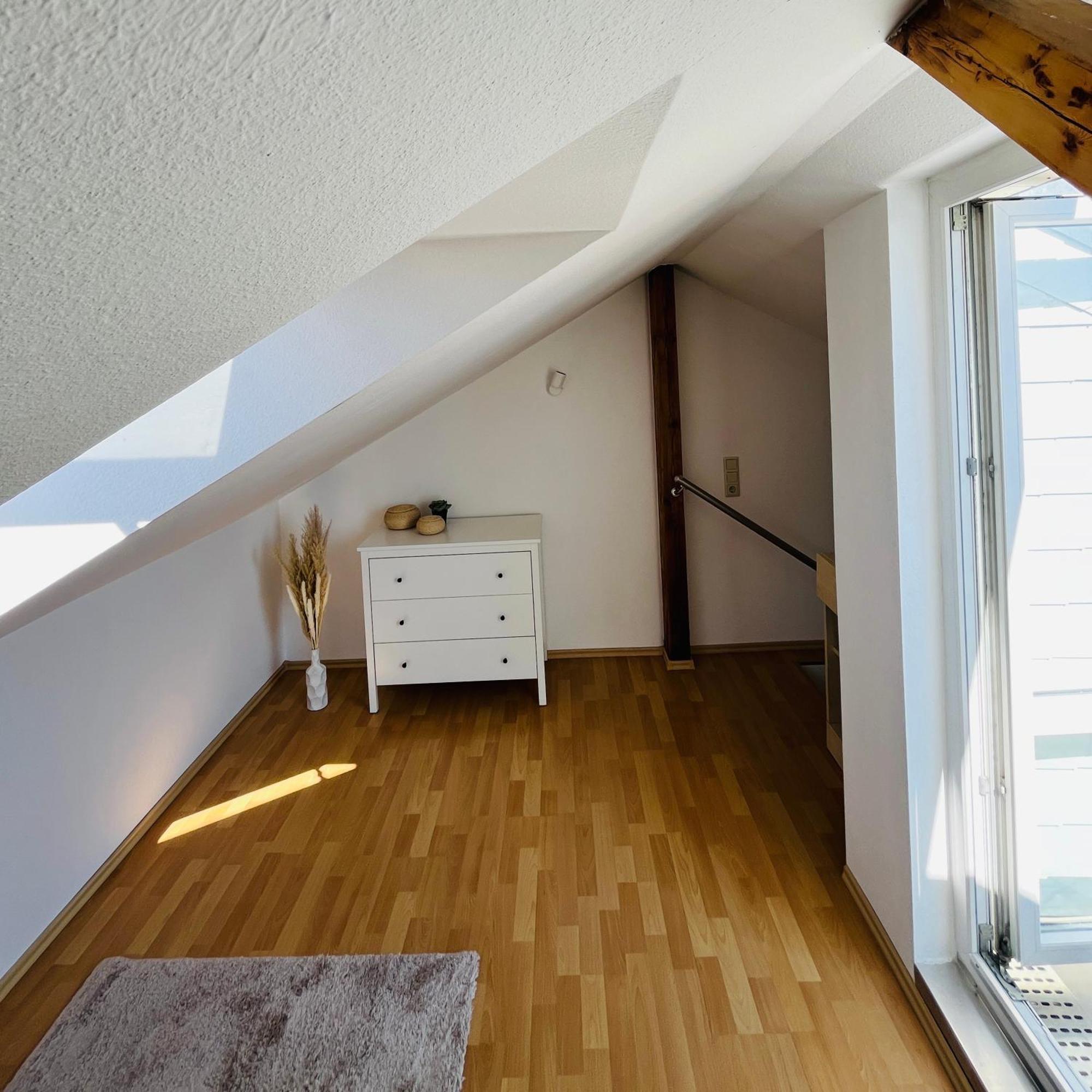 Modernes Cityapartment Naehe Schloss Pillnitz Appartement Dresden